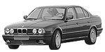 BMW E34 P0490 Fault Code